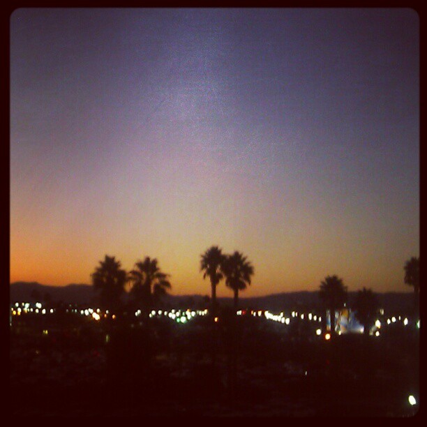 LA palm #silhouettes after the sunset