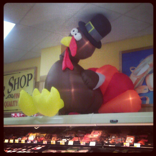 My 2-year-old took one look at this giant #turkey at TJs, pointed and excitedly said “Oops! Oops!” in reference to Sandra Boynton’s “Blue Hat, Green Hat.” #thanksgiving