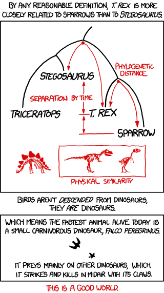 Phylogenetic tree: T.Rex is more closely related to sparrows than to Stegosaurus. In a sense, birds aren't just descended from dinosaurs, they ARE dinosaurs.