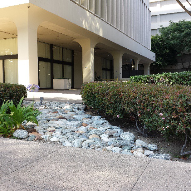 Stone path among office buildings