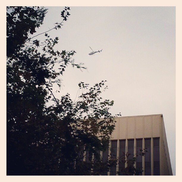 Helicopters hovering over Century Blvd near LAX. LST time was that ex TSA agent. I wonder what’s going on this time.