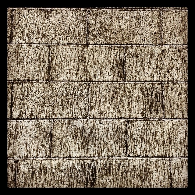 First streaks of #rain on a cinder block #wall.