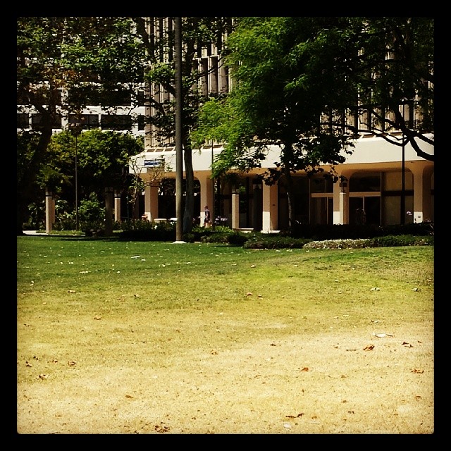 Grass gradient. The near part of the lawn is in front of a building undergoing major renovations. They turned off the sprinklers to avoid flooding the supplies and equipment.