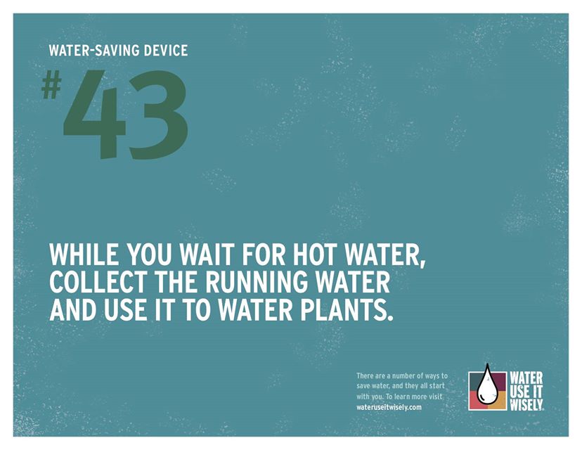 Tip #43: While you wait for hot water, collect the running water and use it to water plants.