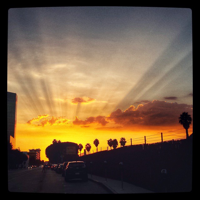 Rays at sunset.