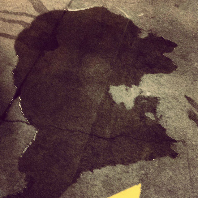 “I’ll get you, my pretty!” Does this rain puddle look like a cackling face to you? #puddle #silhouette #pareidolia