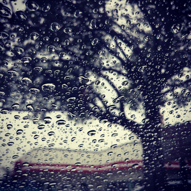 Rainy day windshield. #rain #raindrops #window #tree  #blur