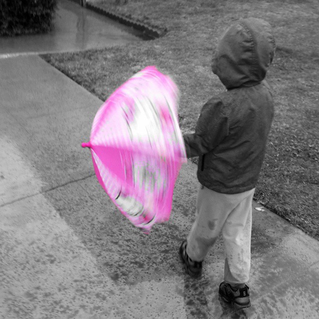 OK, so it’s a bit of a cliche, but the #twirling #umbrella seemed the best fit for the #pixlr #onecolor challenge. #rain