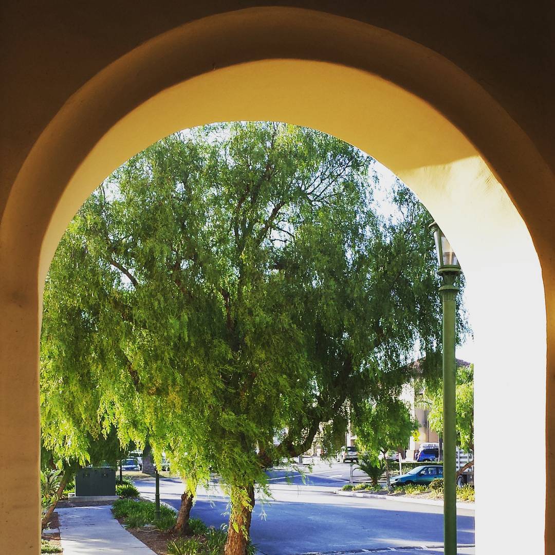 Through the archway.