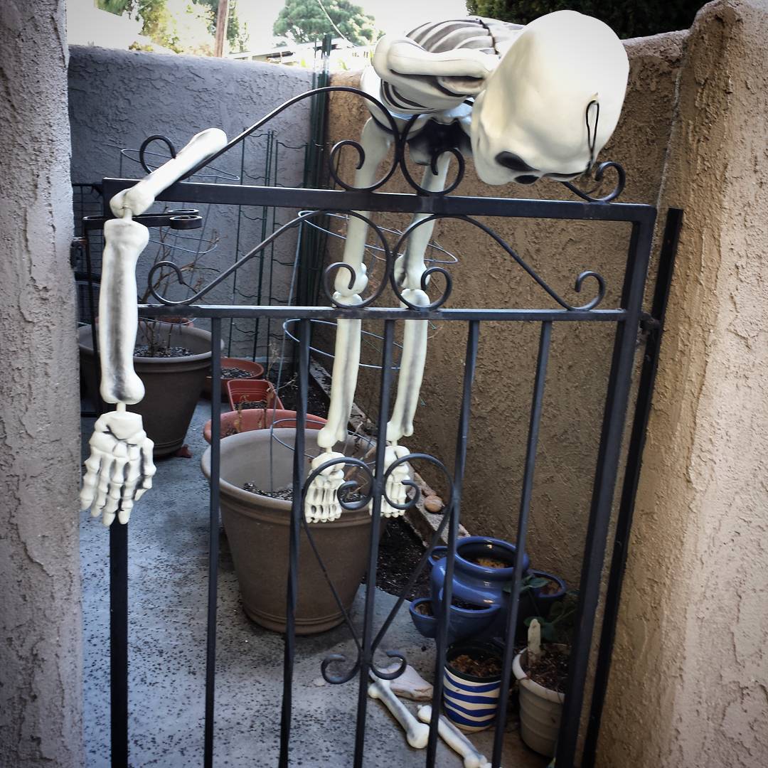 Almost made it… #halloween #skeleton