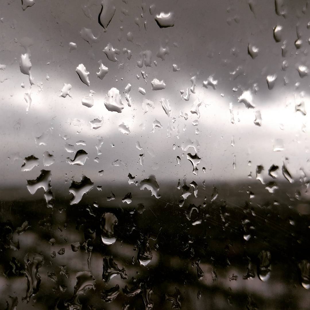 View out the (rainy) window