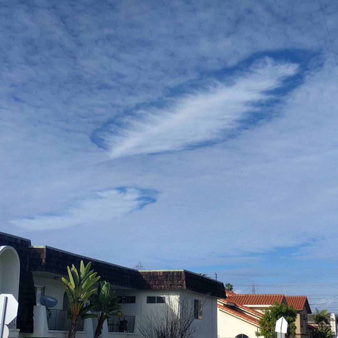 Latte art in the sky… Hole punch clouds in the direction of LAX, seen from Redondo Beach on Saturday.