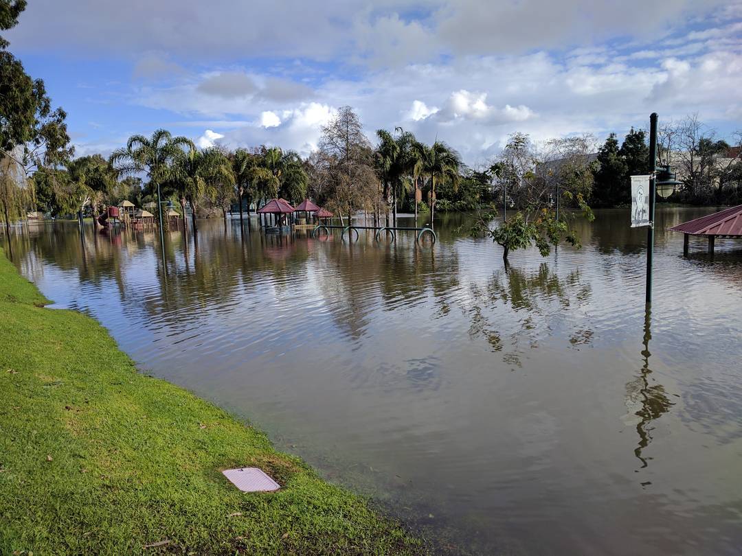 Apparently Polliwog Park doubles as a flood control basin. We moved to the area at the beginning of the drought, so it never came up before (so to speak). It was on the way to work,and the storm had moved on, so I stopped to take a look.

#park #flooded #manhattanbeach #polliwogpark