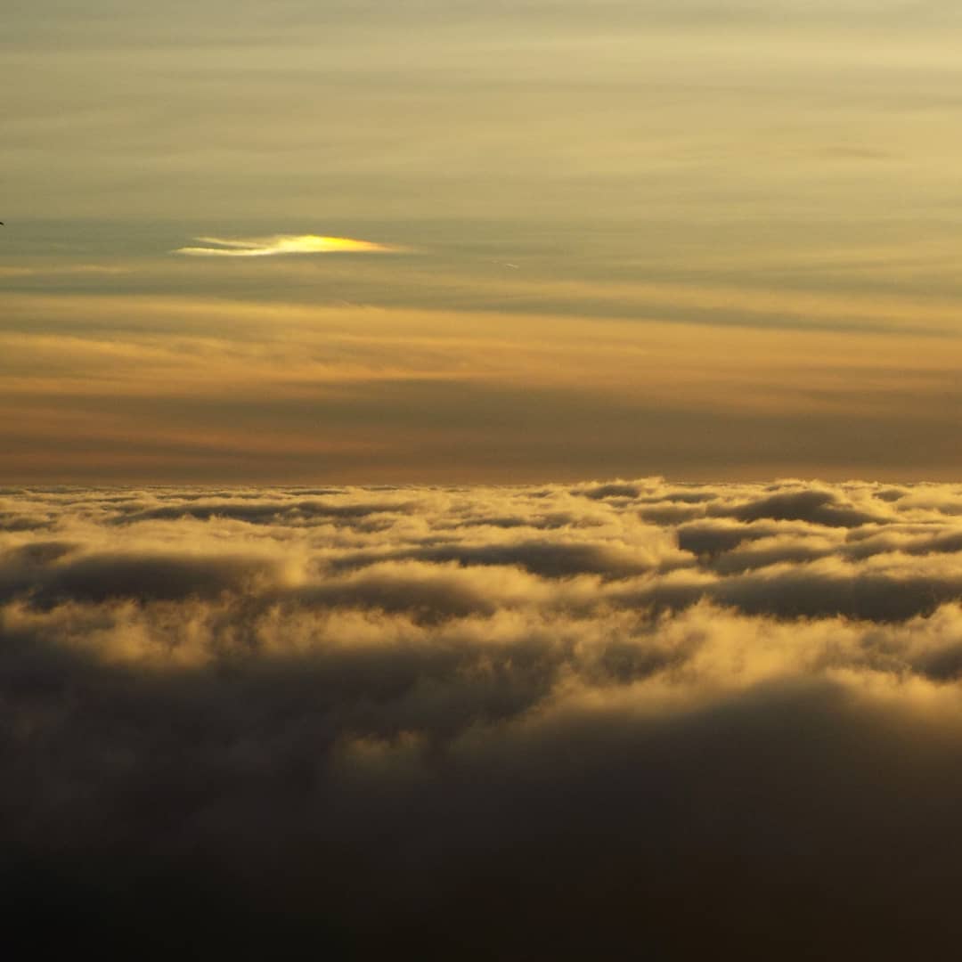 Sundog flying above the clouds