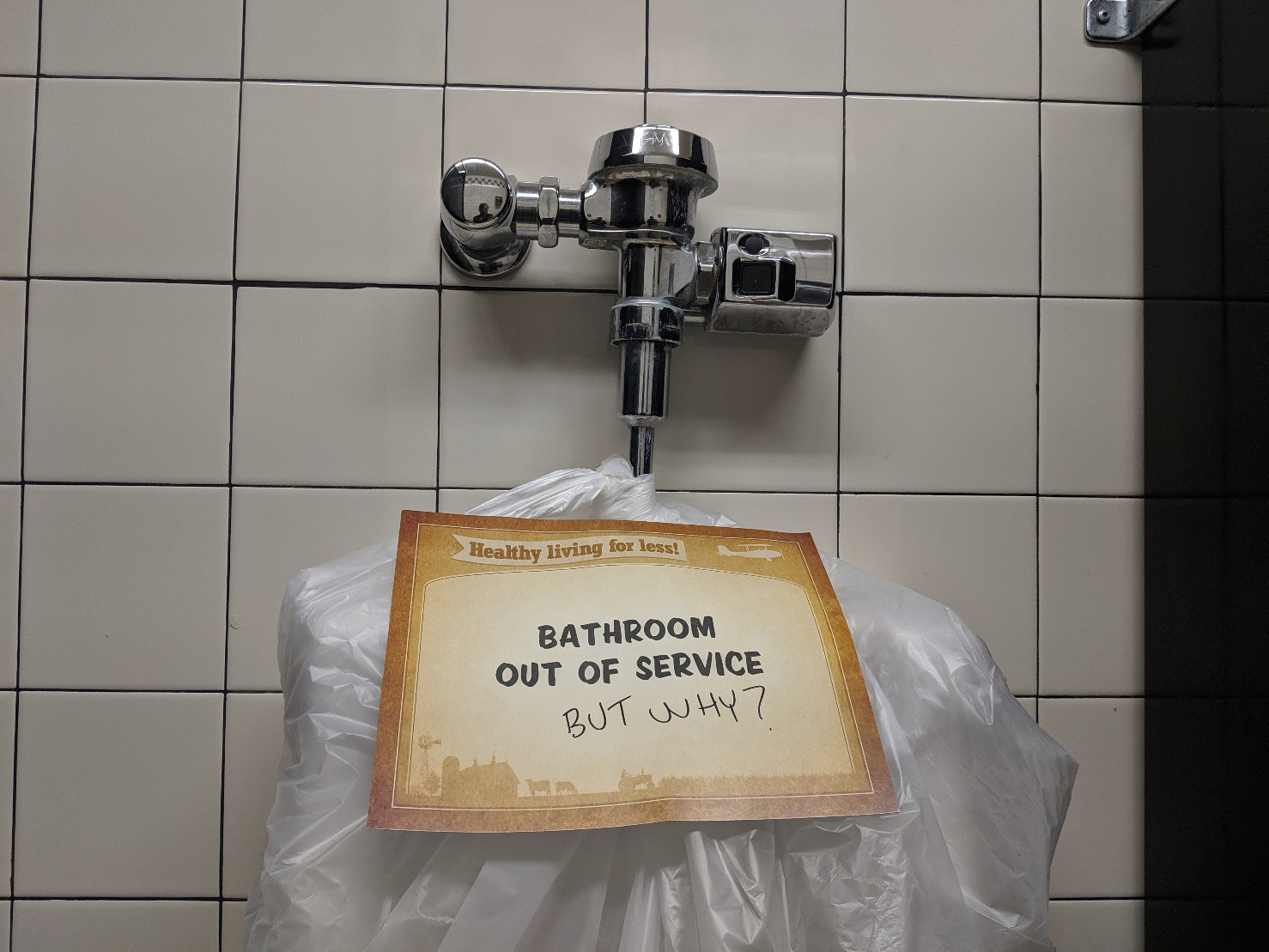 But WHY? (bathroom, humor)



