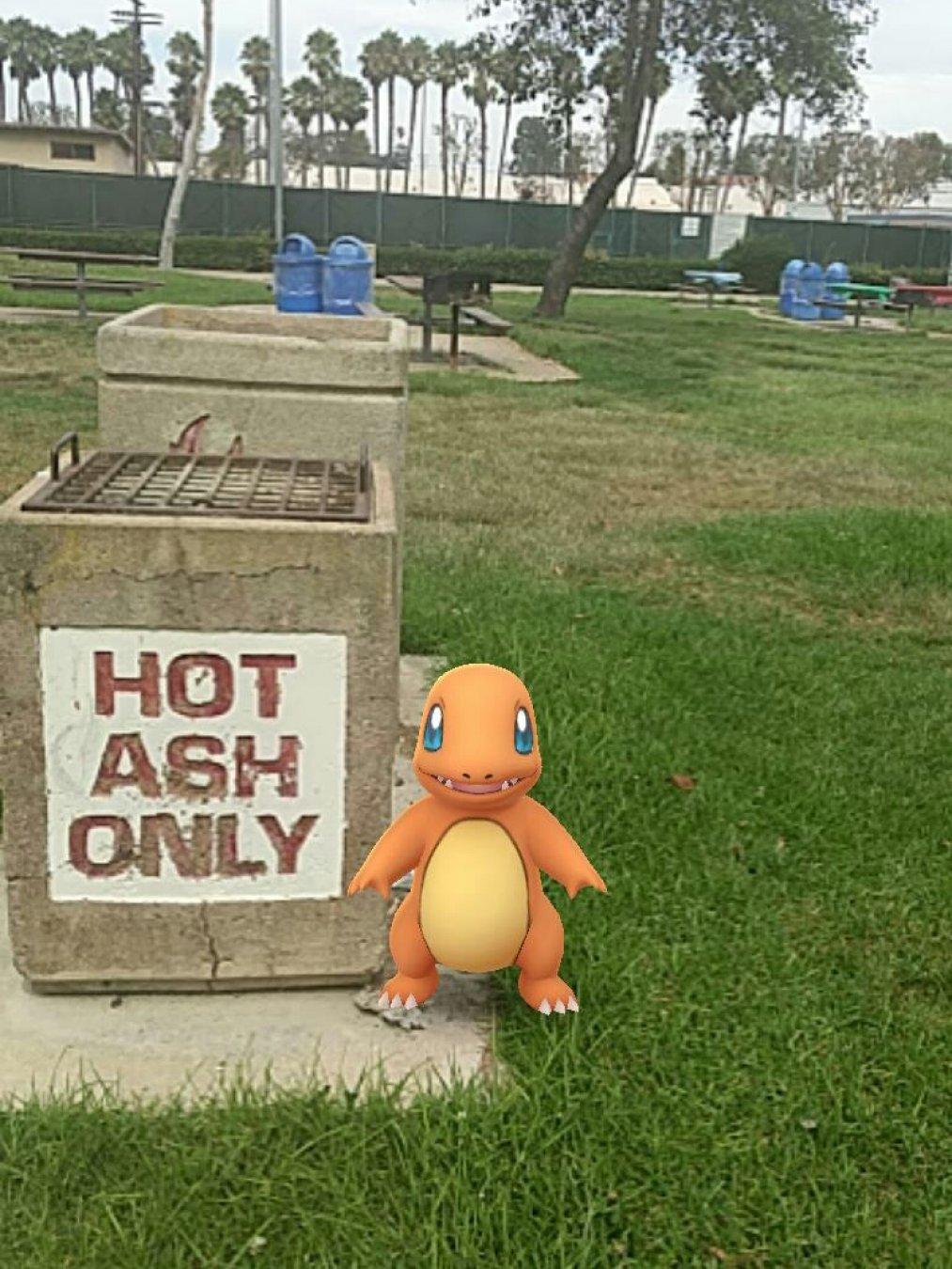 Charmander swore the accident at the #PokemonGo picnic wasn't his fault!