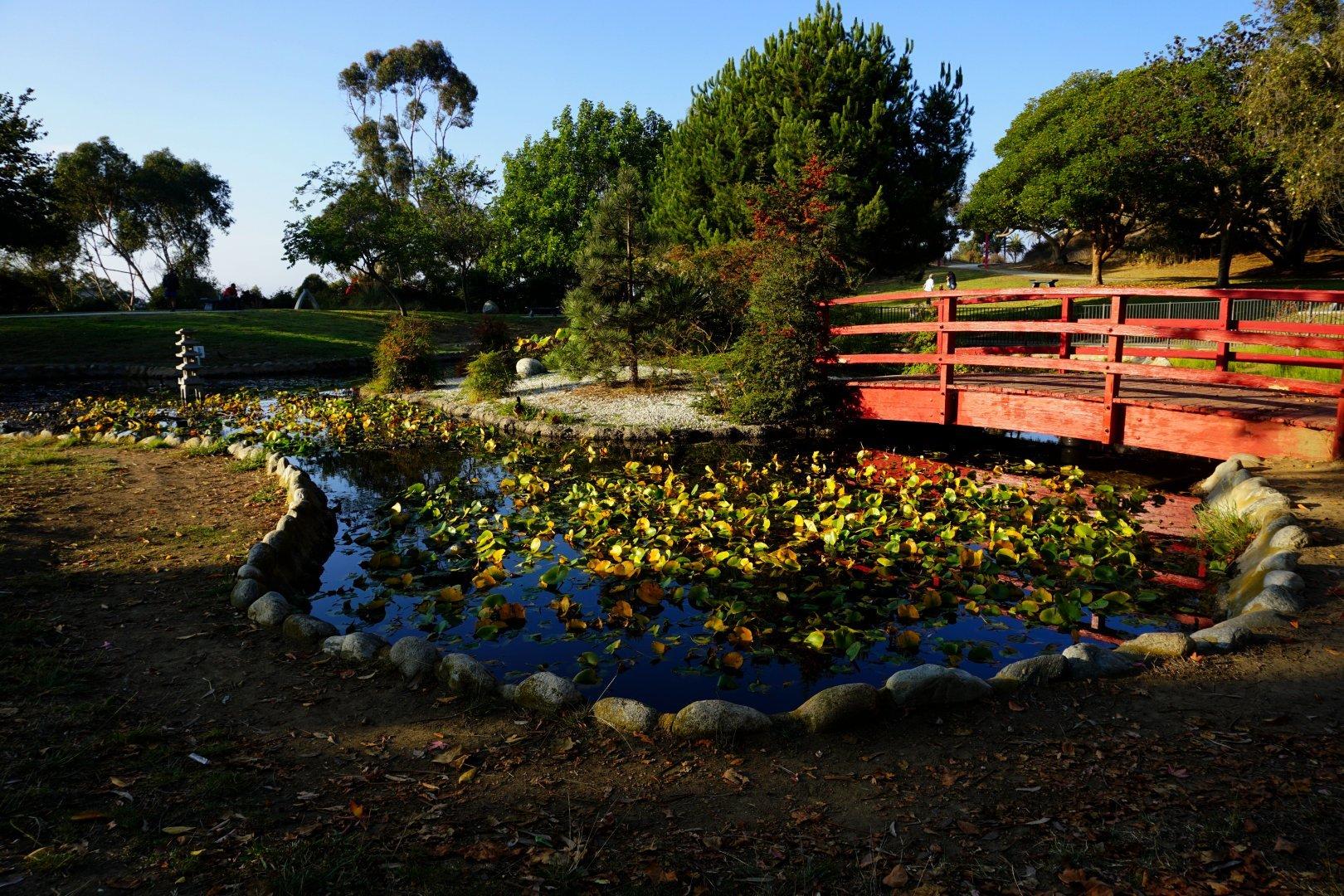 Hahn Park features picnic areas, camping areas, playgrounds, a semi-wild area with hiking trails, and a Japanese-themed #garden with koi #pond and bridges.