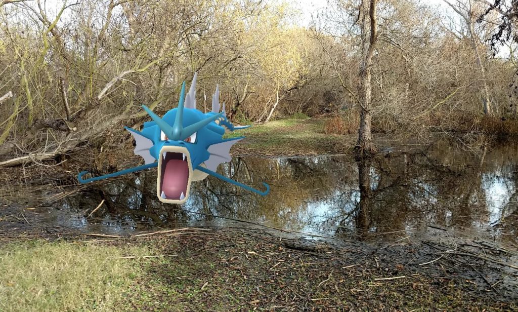 Gyarados hovering over a flooded-out trail.
