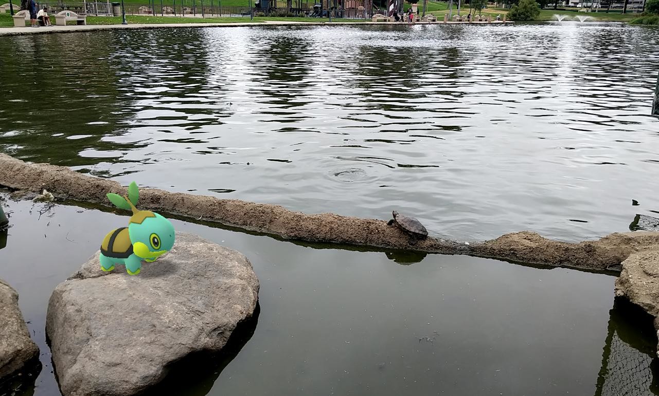 Turtwig has found a new friend.#Pokemon (I had such a hard time trying to ...