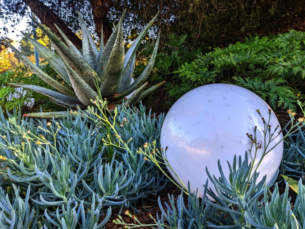 A white translucent orb tucked into small spiky plants, with a big spiky plant behind it and trees and bushes in the background.