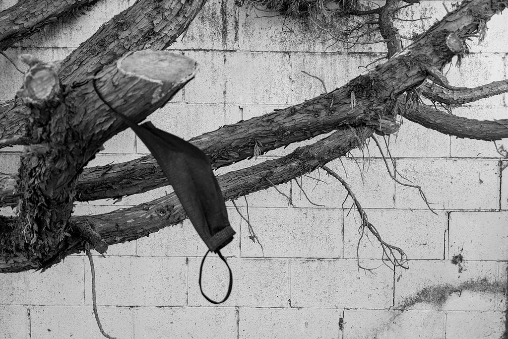A grayscale photo of a black face mask hanging by one loop from one of several bare branches in front of a cinder block wall.