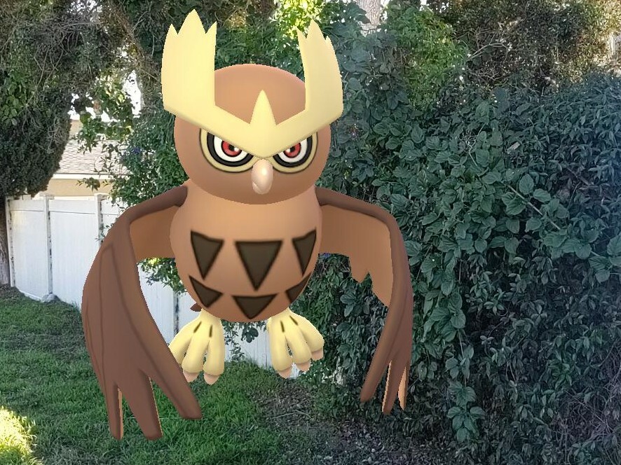 I think I found that superb owl I keep hearing about.



