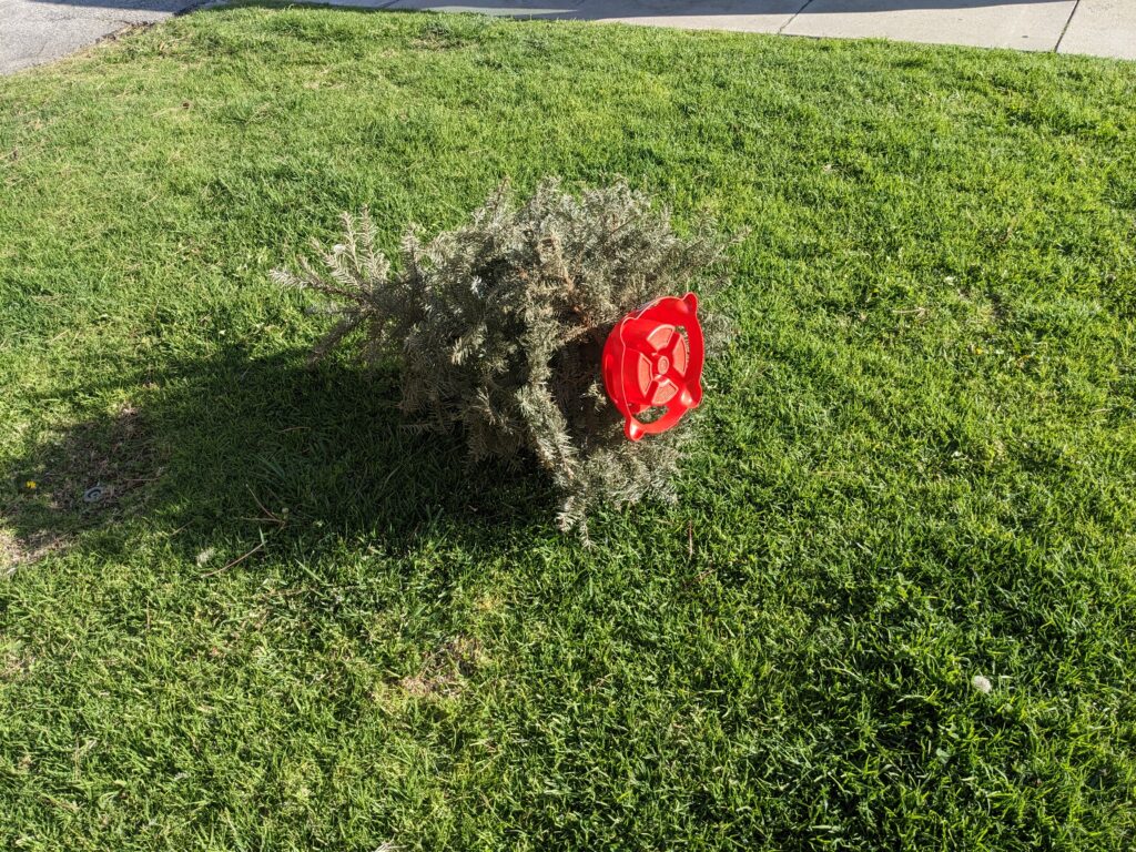 A small (artificial?) Christmas tree with base, lying on its side in the middle of a lawn.