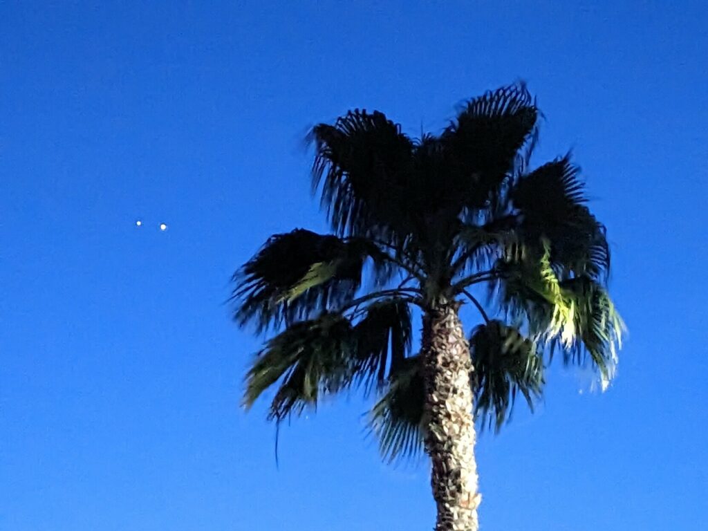 Top of a palm tree against a deep blue sky, two white dots off to the side and very close to each other.